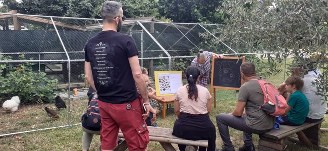 In visita alla fattoria