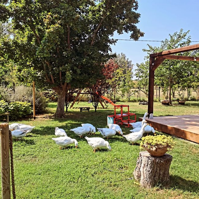 Il giardino da vivere