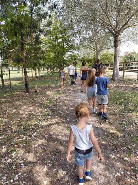 Una passeggiata da condividere