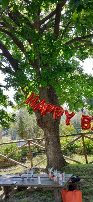 Festeggiare in giardino