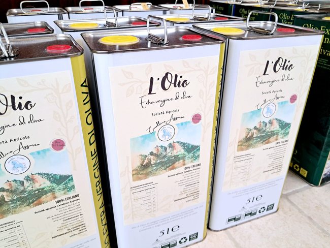 L’olio appena raccolto