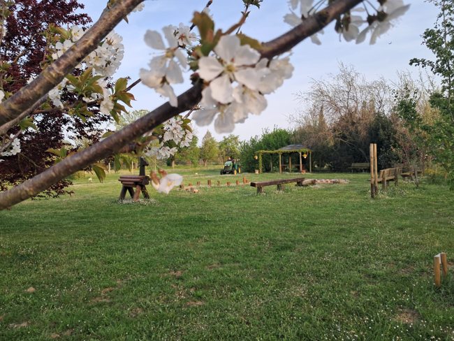 Primavera nel prato