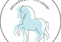 Logo Cavallino Azzurro: la miniatura che Facebook mostra per La notte delle stelle, senza una copertina dedicata.