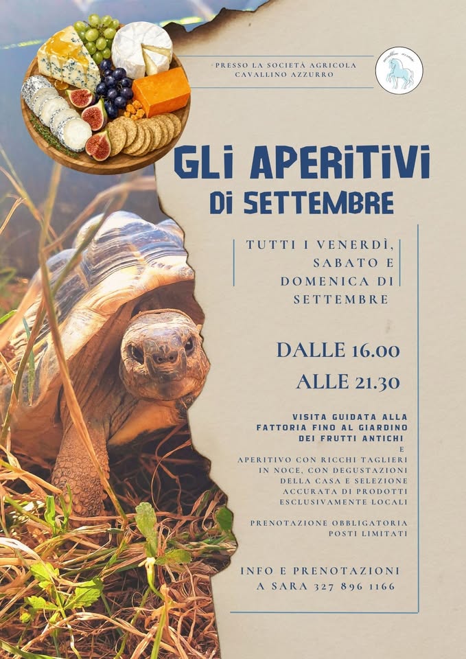 Locandina Gli aperitivi di settembre, con una tartaruga e un tagliere. Il testo è disponibile sotto il programma.